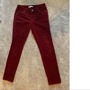 Cabi corduroy pants